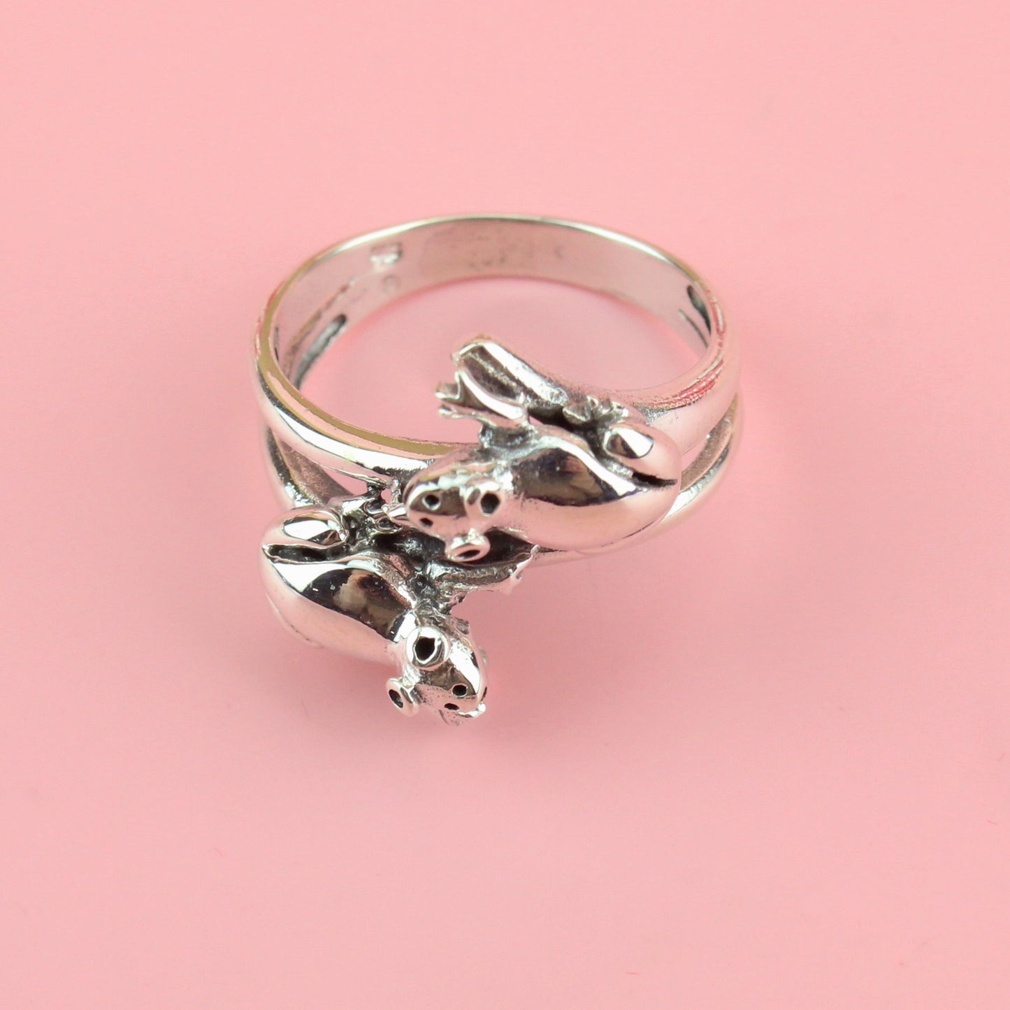 Ribbit Ribbit Ring